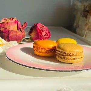 MISSONI HOME Pink Ombre Silver Rim Saucer Dish New